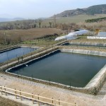 Depuración de Aguas Residuales. Granja Escuela Haritz Berri