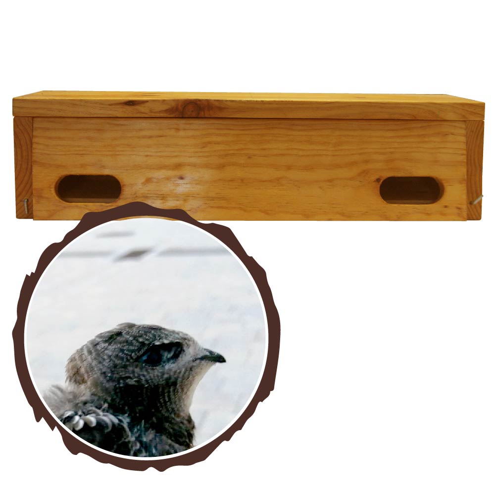 EJ_Mesa-de-trabajo-1-5